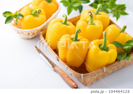 パプリカ 黄色 （ パプリカ ）白背景 104464128