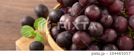 ぶどう 葡萄 ブドウ 104465057