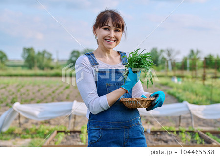 Portrait of smiling farmer woman with basket of arugula herbs looking at camera Portrait of smiling farmer woman with basket of arugula herbs looking at camera 104465538
