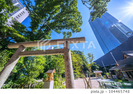 日本の東京都市景観　八幡神社内の人麻社・稲荷社側から麻布台ヒルズなどを望む 104465748
