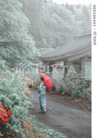 自然溢れる景色の中赤い傘をさし趣のある表情をしている和服の若い女性 104465896