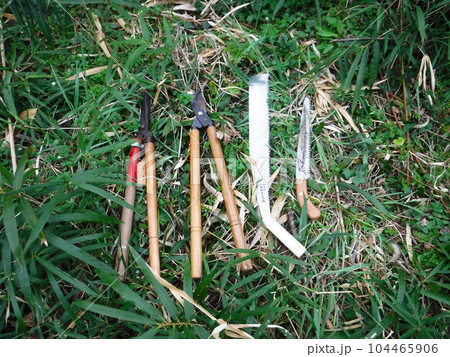 剪定道具 剪定道具 104465906