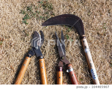 砥がれた剪定道具 104465907