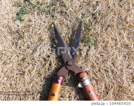 砥がれた剪定鋏 砥がれた剪定鋏 104465910