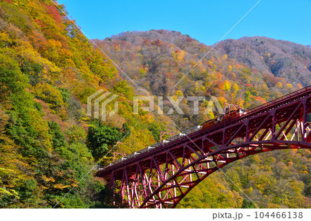 秋　黒部峡谷鉄道　新山彦橋 104466138