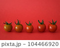 採りたて新鮮勢ぞろいミニトマト 104466920