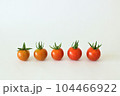 採りたて新鮮勢ぞろいミニトマト 104466922