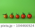 採りたて新鮮勢ぞろいミニトマト 104466924