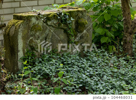 Overgrown grave with a tombstone in the cemetery Overgrown grave with a tombstone in the cemetery 104468031