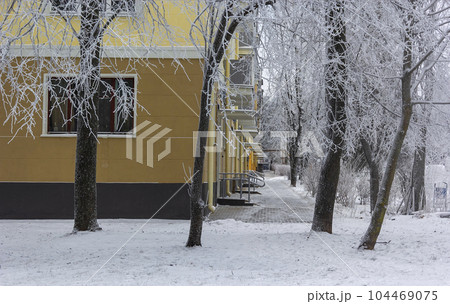 Urban winter landscape. Trees in hoarfrost, residential orange house Urban winter landscape. Trees in hoarfrost, residential orange house 104469075