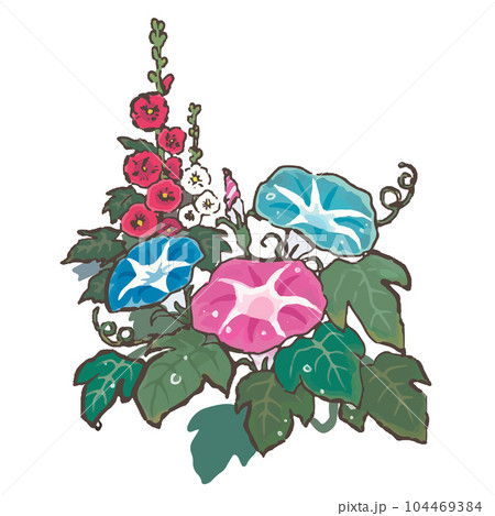 手描きの朝顔とあおいの花のイラスト 手描きの朝顔とあおいの花のイラスト 104469384