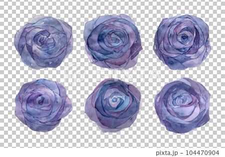 watercolor blue rose 104470904