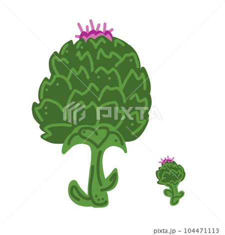 Artichoke. Whole artichoke and icon. Good for posters, package, t-shirts, postcards, shopping bags. Vector hand draw cartoon illustration. Artichoke. Whole artichoke and icon. Good for posters, package, t-shirts, postcards, shopping bags. Vector hand draw cartoon illustration. 104471113