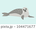ゴマフアザラシ 104471677