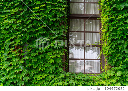 倉敷アイビースクエアー 104472022