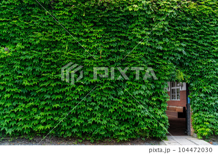 倉敷アイビースクエアー 104472030