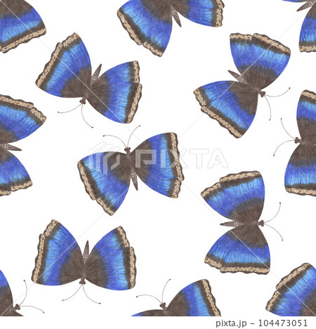Seamless Pattern with Hand Drawn Colorful Butterflies on White Background. Digital Paper with Butterfly. 104473051