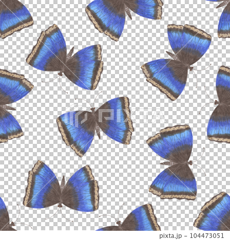 Seamless Pattern with Hand Drawn Colorful Butterflies on White Background. Digital Paper with Butterfly. 104473051