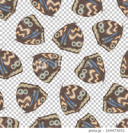 Seamless Pattern with Hand Drawn Colorful Butterflies on White Background. Digital Paper with Butterfly. Seamless Pattern with Hand Drawn Colorful Butterflies on White Background. Digital Paper with Butterfly. 104473052
