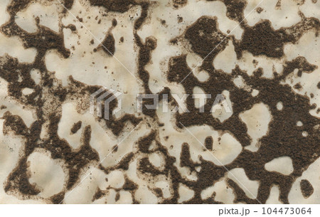 Hand Painted Abstract Watercolor Background. Watercolor Grunge Texture Abstract Designs. Vintage Texture Background Made by Coffee. 104473064