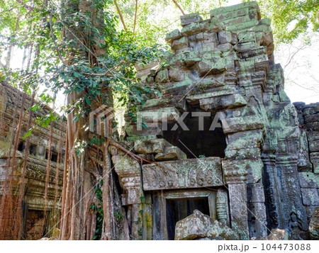 The picture shows a stone ruin from the Khmer medieval period, situated among various plants in a Cambodian forest. The picture shows a stone ruin from the Khmer medieval period, situated among various plants in a Cambodian forest. 104473088
