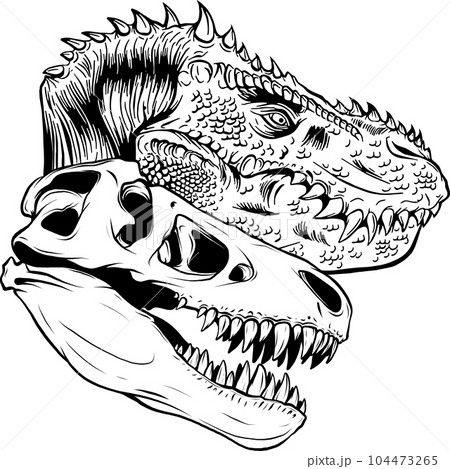 tyrannosaurus rex Dinosaur head in black and white outline vector illustration tyrannosaurus rex Dinosaur head in black and white outline vector illustration 104473265