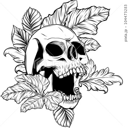 vector illustration of outline human skull design 104473283