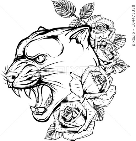 cougar head vector illustration black and white color cougar head vector illustration black and white color 104473358