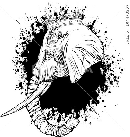 blacka and white illustration of Elephant head 104473507