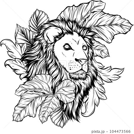 illustration vector of Lion head outline design illustration vector of Lion head outline design 104473566