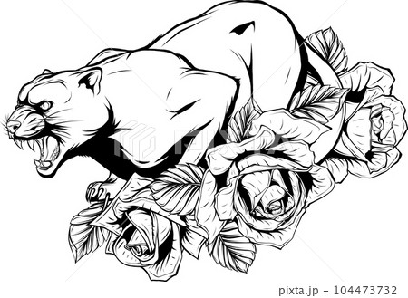 Contour linear drawing illustration of the wild puma 104473732