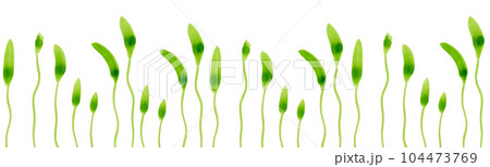Watercolor sketches of blades of grass. Horizontal border made of green sprouts for your design. Can be used as a seamless pattern 104473769
