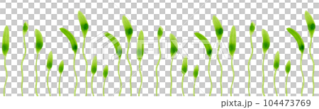 Watercolor sketches of blades of grass. Horizontal border made of green sprouts for your design. Can be used as a seamless pattern 104473769