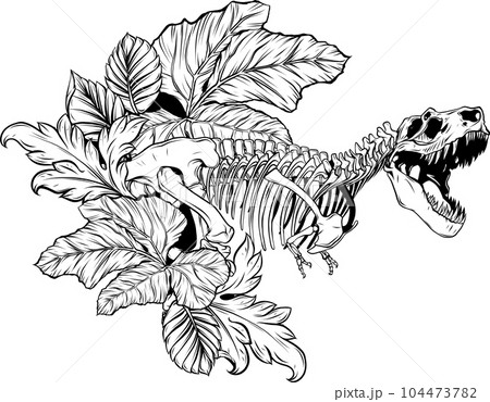 vector Tyrannosaurus Rex dinosaur skeleton outline illustration 104473782