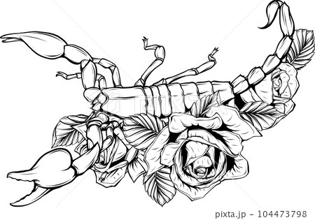 X 上的 Hyena Tattoos：「Scorpion by @simbalysm #scorpion #scorpiontattoo  #tinytattoos #tinytattoo #fineline #finelinetattoo #lineworktattoo  #blackwork #blackandgraytattoo #hyenatattoos https://t.co/SgeYKj47TF」 / X