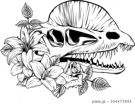 Black Line Dinosaur Dilophosaurus Skull vector illusatration 104473993