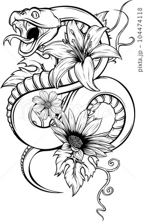 Snake outline icon. Viper animal badge Vector illustration. 104474118