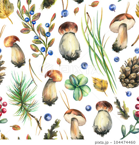 Forest edible boletus mushrooms with blueberries, lingonberries, twigs, cones, grass and autumn leaves. Watercolor illustration, hand drawn. Seamless pattern on a white background. 104474460