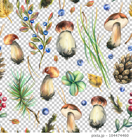 Forest edible boletus mushrooms with blueberries, lingonberries, twigs, cones, grass and autumn leaves. Watercolor illustration, hand drawn. Seamless pattern on a white background. 104474460