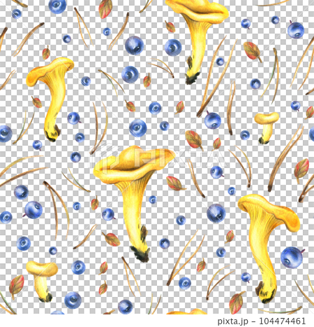 Forest edible chanterelle mushrooms are yellow with blueberries, autumn leaves and pine needles. Watercolor illustration, hand drawn. Seamless pattern on a white background. 104474461