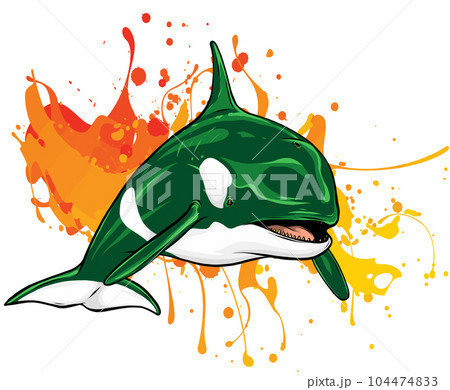 colored Killer Whale Spirit Orca Jumping Vector illustration colored Killer Whale Spirit Orca Jumping Vector illustration 104474833