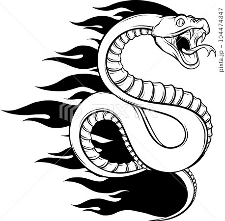 Snake outline icon. Viper animal badge Vector illustration. Snake outline icon. Viper animal badge Vector illustration. 104474847