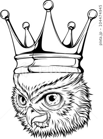 vector illustration of outline Owl head design vector illustration of outline Owl head design 104474945