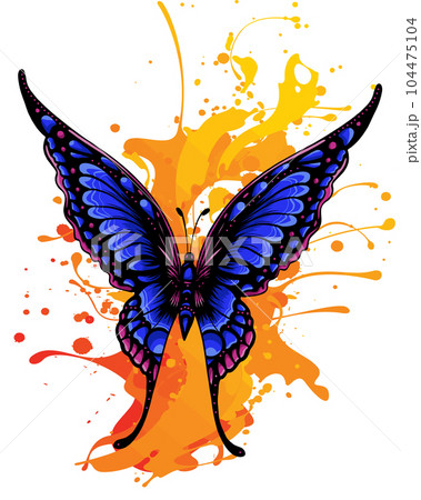 Tropical elegant butterfly with colorful wings and antennae isolated on white background. Tropical elegant butterfly with colorful wings and antennae isolated on white background. 104475104