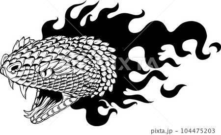snake head outline in black and white snake head outline in black and white 104475203