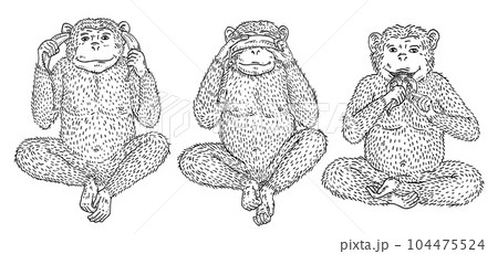 Three wise monkeys. Not see, not hear, not speak. Vintage engraving 104475524