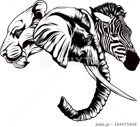 vector black and white graphic illustration of elephant head vector black and white graphic illustration of elephant head 104475849