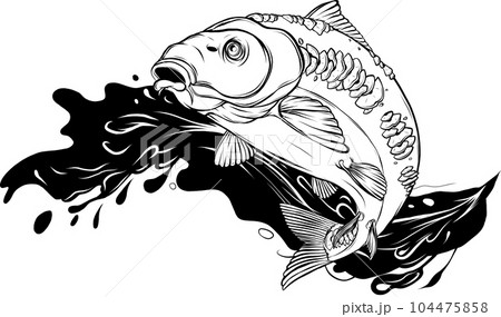 Carp in Black and white. Vector sketch of a fish isolated 104475858