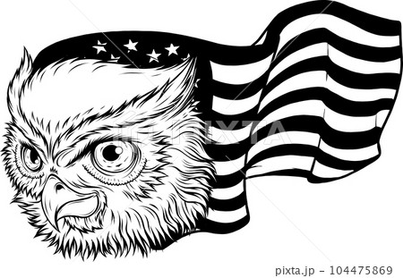 Head of owl black and white. Vector illustration. Head of owl black and white. Vector illustration. 104475869