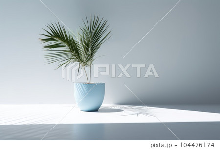 Light blue wall with shade and plant on the floor in a vase Light blue wall with shade and plant on the floor in a vase 104476174